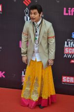 at Life Ok Screen Awards red carpet in Mumbai on 14th Jan 2015